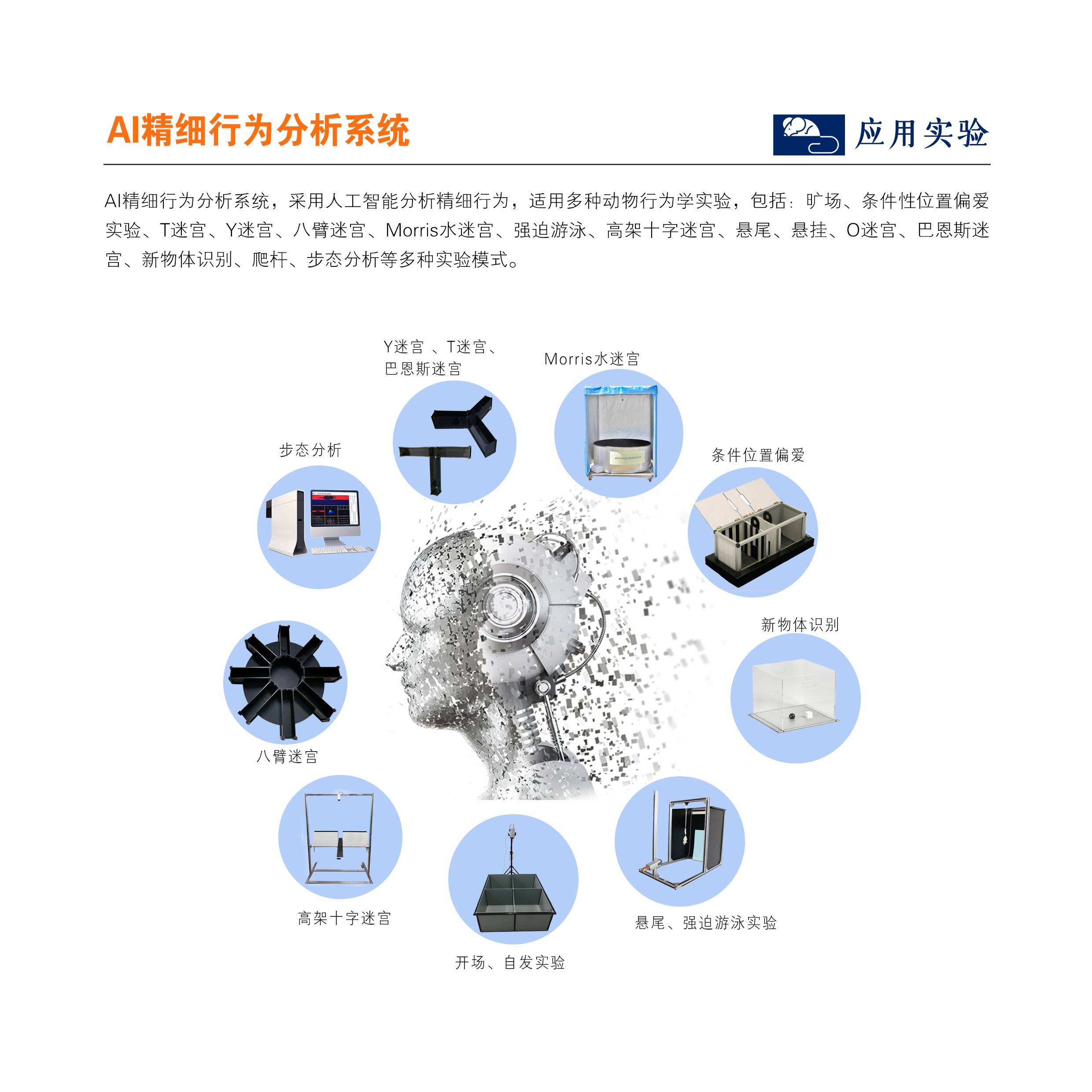 保护AI系统免受攻击的策略