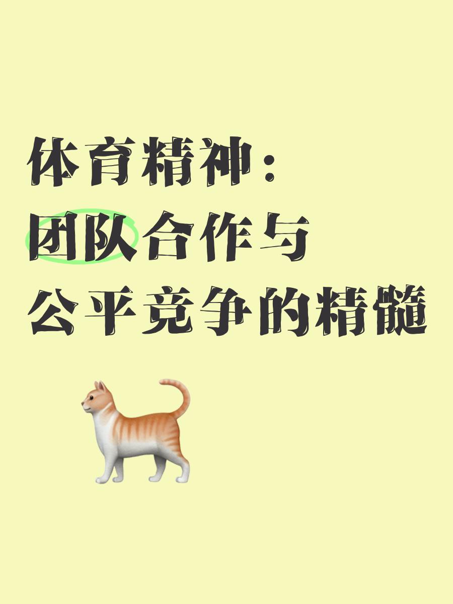 团队合作默契程度将成为制胜要素