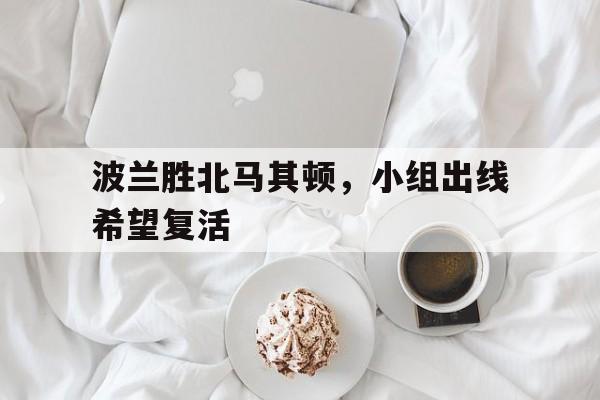 关于波兰胜北马其顿，小组出线希望复活的信息