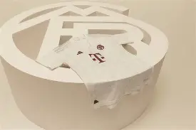 关于Scout赛事官方发布败北新规，拜仁争议不断！的信息